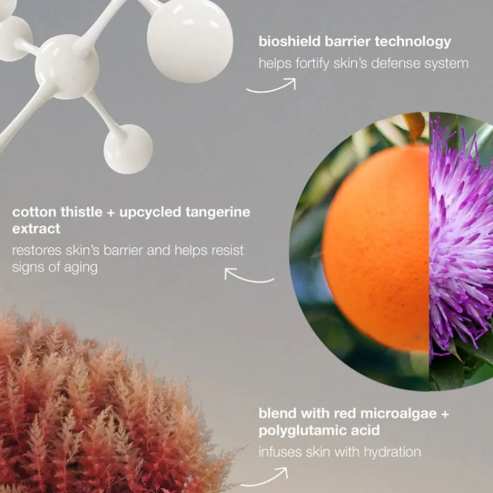 Dermalogica Serum Og Ampuller|Dynamic Skin Strengthening Serum