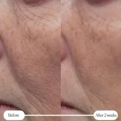 Elemis Ansiktskrem|Pro-Collagen Rose Marine Cream