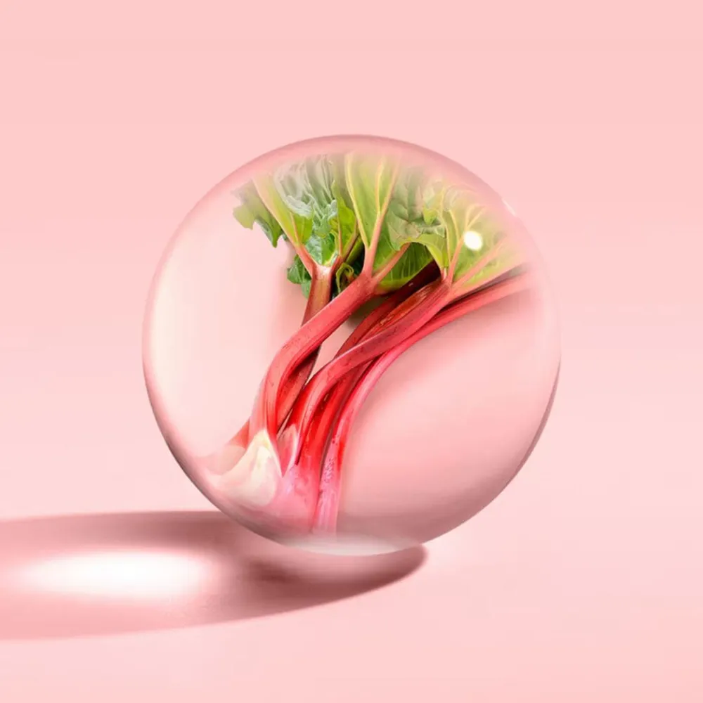 Molton Brown Bodylotion|Delicious Rhubarb & Rose Body Lotion