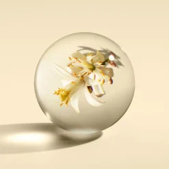 Molton Brown Bodylotion|Orange & Bergamot Body Lotion